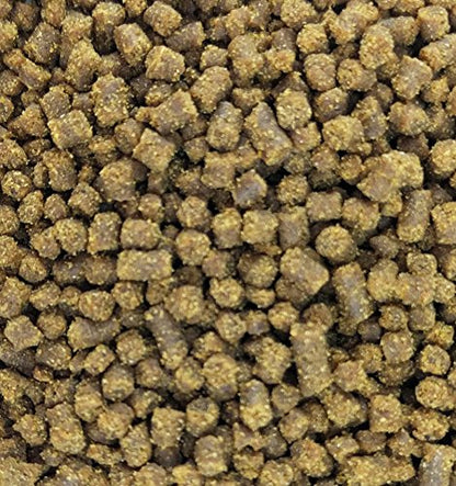 Josh's Frogs Aquatic African Dwarf Frog Food Pellets (1.85 oz) (Pack of 2) - size: 1.85 Ounce (Pack of 2)