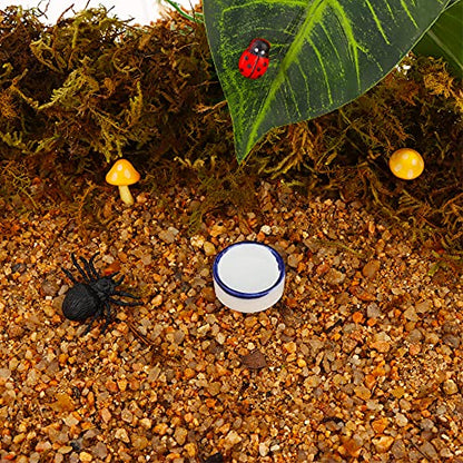 10 Pcs Spider Micro Water Bowl Mini Ceramic Dish for Tiny Reptile Spider Millipede Tarantula (Small Size: 0.86" D, 0.43" H)
