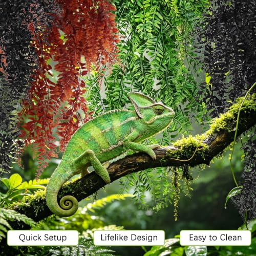 Hamiledyi Reptile Plants Hanging Terrarium Plants 6 Pack Fake Artificial Leaves with Suction Cup for Snake, Lizard, Chameleon (Red & Green & Black) - color: 2 Pcs Black +2 Pcs Red + 2 Pcs Green Reptile Plants