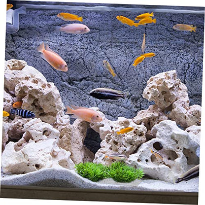 Toddmomy 10Pcs Stainless Steel Wire Mesh Aquarium Plant Fixing Net Moss Carpet Pad for Water Plants Durable and Sturdy Design for Fish Tank Decoration