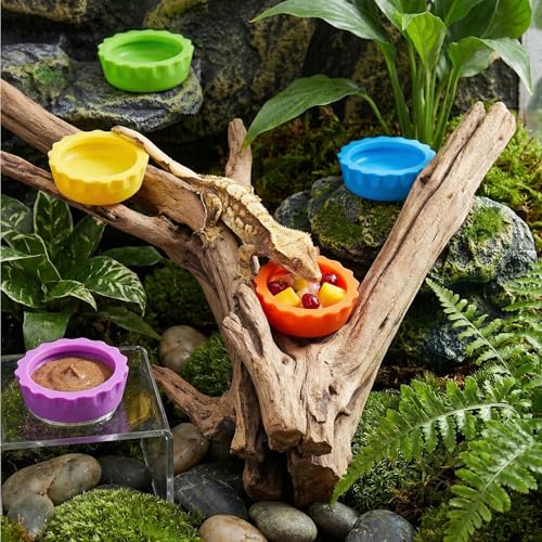 12 Pcs Gecko Food Dish Silicone Reptile Bowl Crested Gecko Food and Water Bowl Reusable Reptile Feeding Cups Gecko-Tank Accessories for Hermit Crab,Turtle,Snake and Lizard