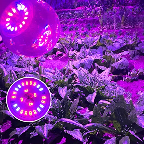 Grow Light Bulbs for Indoor Plants - Full Spectrum E26 A19 LED Lamp Bulb 12W - Balanced Spectrum 5000K with Red & Blue Light for Seeds, Greens, Hydroponics - 2 Pack