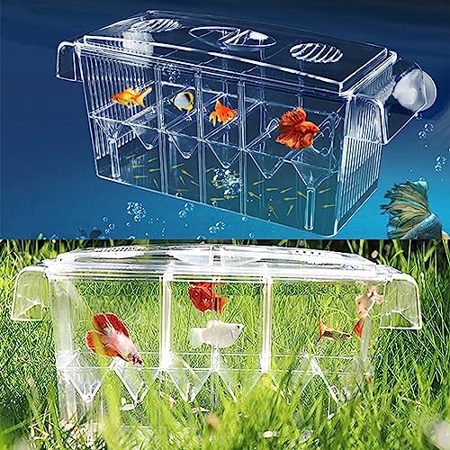 Fish Breeding Box for Aquarium, Acrylic Plastic Breeder Box for Fish Tank, Baby Snails Fishes Shrimp Clownfish Nursery Container, Fish Hatchery Incubator with Suction Cups