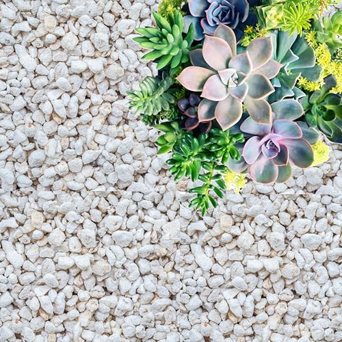 GARDENWISE Perlite for Plants, Coarse and Chunky Horticultural Perlite, Organic Perlite for Gardening Indoor & Outdoor, Perlite Bulk Bag, Made in USA (20 quarts) - color: Coarse and Chunky Perlite, size: 20 quarts