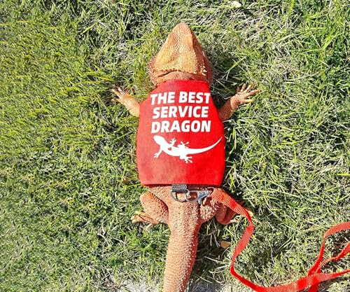 Bearded Dragon Harness and Leash Set, Escape Proof Adjustable Lizard Reptile Vest Clothes with 5.5 ft Leash for Outdoor Walking, Best Service Dragon Design