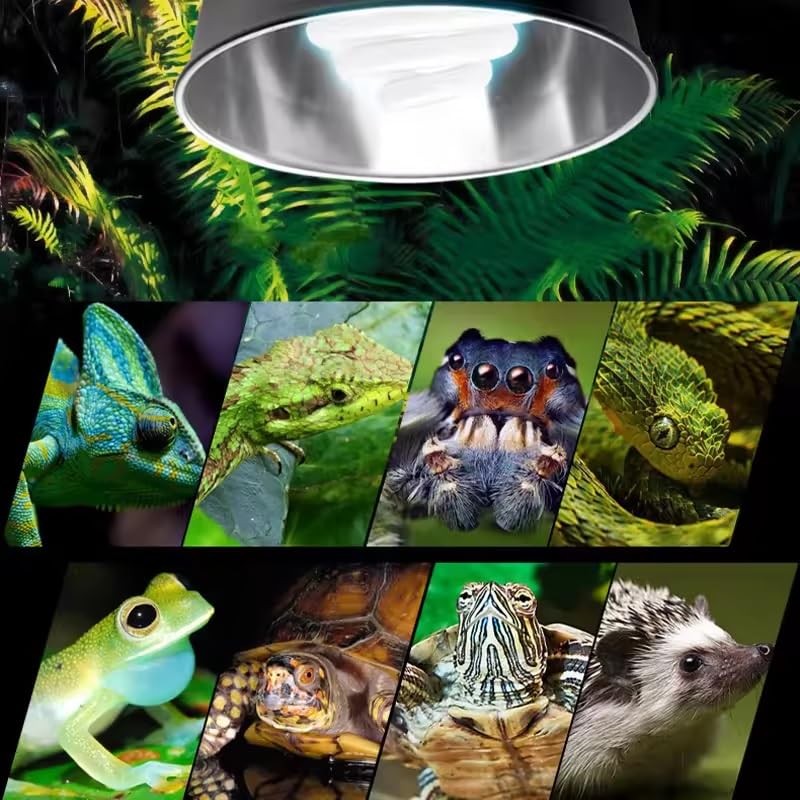 EatingBiting 2Pcs Reptile Heating Lamp Clamps Adjustable Fixture Turtle Dome St Plastic Easy Install Durable Portable Fish Tank Aquarium