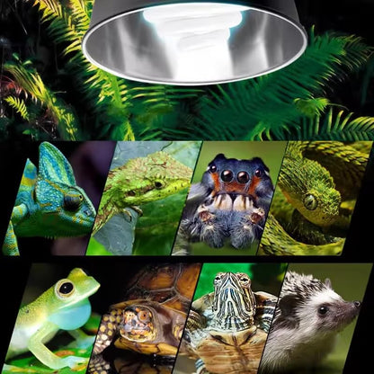 EatingBiting 2Pcs Reptile Heating Lamp Clamps Adjustable Fixture Turtle Dome St Plastic Easy Install Durable Portable Fish Tank Aquarium
