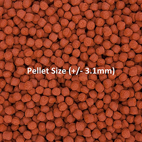 Ocean Nutrition Fish Food - Tropical Fish Food, Soft Moist Sinking Pellets, High Protein(41%) Guppy Fish Food, Fish Food Flakes Alternative, 3.5 oz (100 g), Medium Pellet - size: 3.5 Ounce (Pack of 1), style: Medium Pellet