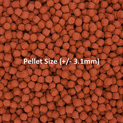 Ocean Nutrition Fish Food - Tropical Fish Food, Soft Moist Sinking Pellets, High Protein(41%) Guppy Fish Food, Fish Food Flakes Alternative, 3.5 oz (100 g), Medium Pellet - size: 3.5 Ounce (Pack of 1), style: Medium Pellet