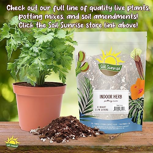 Soil Sunrise Philodendron Plant Potting Soil Mix (8 Quarts) Special Blend for Heart Shape Philodendron Plants Et Al.