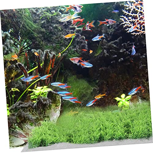 Abaodam 10pcs Stainless Steel Aquatic Moss Mesh Pad Durable Plant Fixed Net for Aquarium Grass Water Planting Accessory
