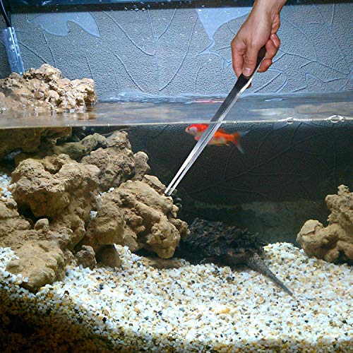 Stainless Steel Polished Extra-Long 15 inch Tongs Tweezers with Precision Serrated Tips for Garden, Kitchen, Indoor & Outdoor - size: 15 inch Straight (1 PCS)