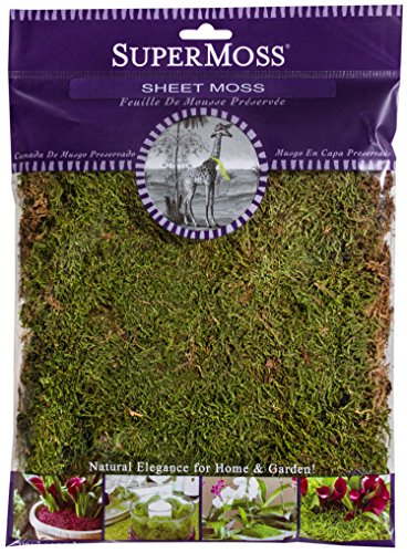 SuperMoss (21580) Sheet Moss Dried, Natural, 2 Ounce - color: Natural Dried, size: 3 Ounces