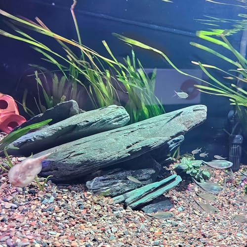 5.5 LBS Irregular Natural Slate Stone Rocks for Aquascaping, Reptile Basking Platforms and Landscape Gravel, Aquarium Bridge Design Kit