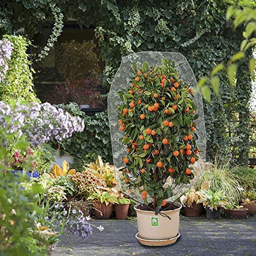 Alpurple 3 PCS Insect Bird Barrier Netting Mesh with Drawstring- 3.2 x 2.6 Feet Fruit Tree Net-Garden Netting Plant Cover for Protect Plant Fruits Flower from Insect Bird Eating - color: 3 Pcs, size: 2.62x3.28 ft