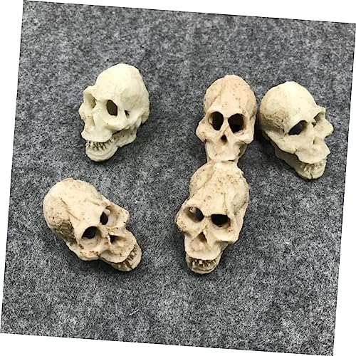 Gecko Tank Accessories 2pcs Mini Skulls for Aquarium Human Skull Aquarium Decoration Reptile Tank Decor Style