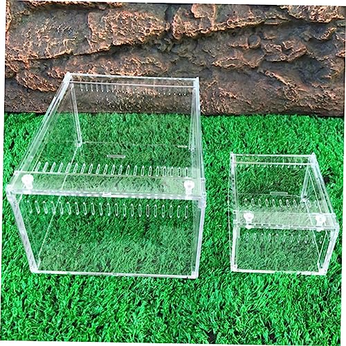 BESPORTBLE 1pc Reptile Breeding Container Habitat for Snakes Lizards and Frogs Spacious Feeding Box Ventilation for Healthy Growth