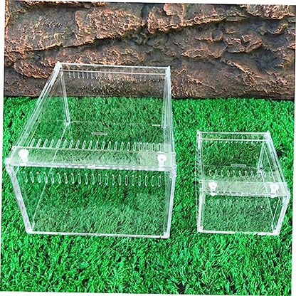 BESPORTBLE 1pc Reptile Breeding Container Habitat for Snakes Lizards and Frogs Spacious Feeding Box Ventilation for Healthy Growth
