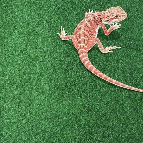 Reeusaables Pet Terrarium Liner - Reptile Carpet Strong Absorbent Grass Like Texture Substrate Mat, Washable Cuttable Cage Bedding Liner Sheet - color: Small 60x40cm