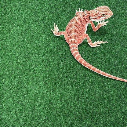 Reeusaables Pet Terrarium Liner - Reptile Carpet Strong Absorbent Grass Like Texture Substrate Mat, Washable Cuttable Cage Bedding Liner Sheet - color: Small 60x40cm