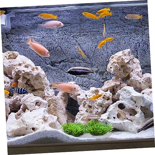 MERRYHAPY Stainless Steel Aquatic Plant Mesh Moss Carpet Net Netting Material for Fishtank Safe for Years