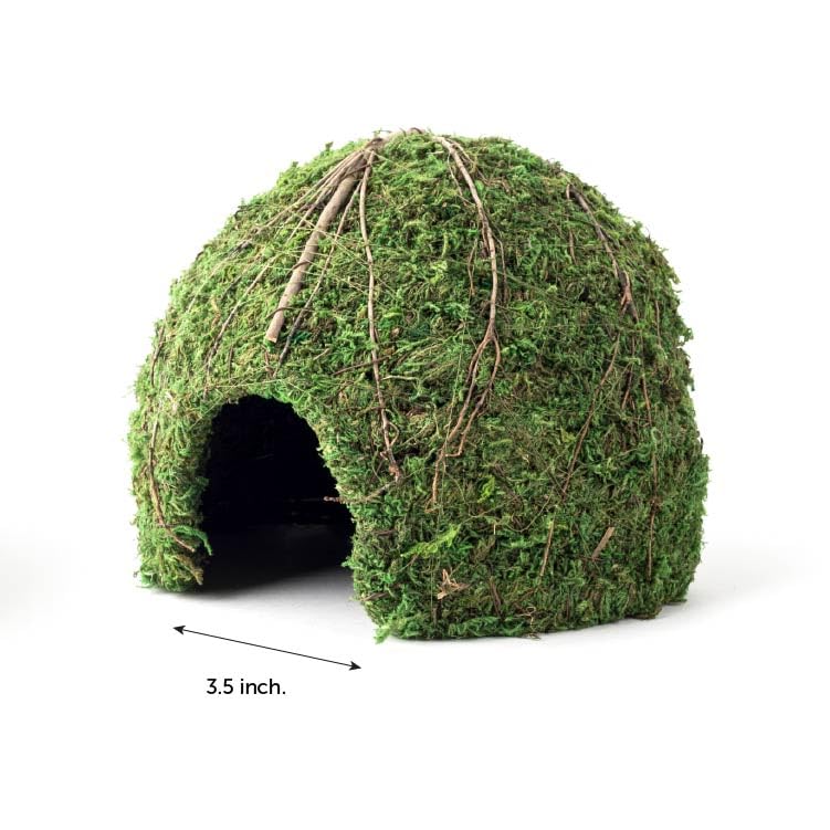 Galápagos (05368) Mossy Dome Hide - Natural Corner Cave for Reptile Enclosures, Terrariums, and Tanks, 9", Vined Green Moss