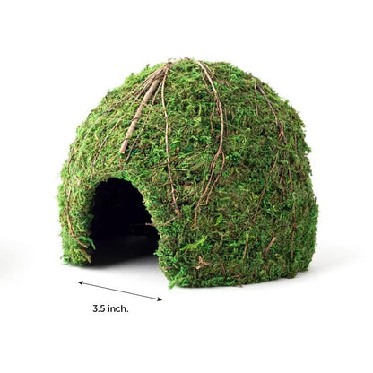 Galápagos (05368) Mossy Dome Hide - Natural Corner Cave for Reptile Enclosures, Terrariums, and Tanks, 9", Vined Green Moss