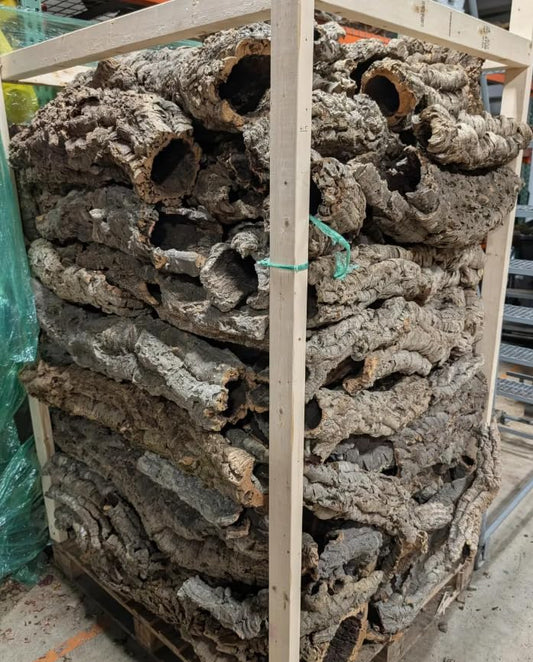 Natural Virgin Cork Bark Rounds - Terrarium & Reptile Habitat Decor Wood for Climbing, Orchid & Air Plant Mounts (1 Pound, Medium 4-5" Diameter) - color: 1 Pound, size: Medium 4-5" Diameter