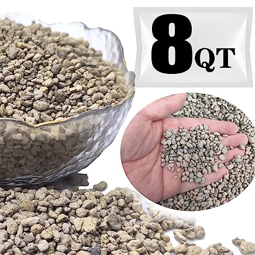 Horticultural Pumice for Plants Professional Sifted (8QT, 1/4 inch) - color: 8QT, size: 1/4 inch