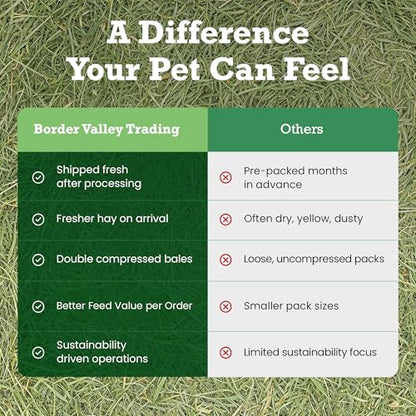 Border Valley Orchard Grass Hay Bale in Bag, 40 lb - Soft High Fiber Hay for Rabbits, Guinea Pigs, Chinchillas, Tortoises, Horses and Livestock - Leafy Grass Hay, Farm-to-Home Freshness