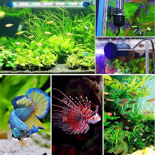 Submersible Aquarium Light Underwater Fish Tank Light with Timer Auto On/Off, LED Aquarium Light Bar 3 Light Modes Dimmer Adjustable Brightness,19.3inch (with Timer&dimmer) - color: 19.3inch (With Timer&dimmer)