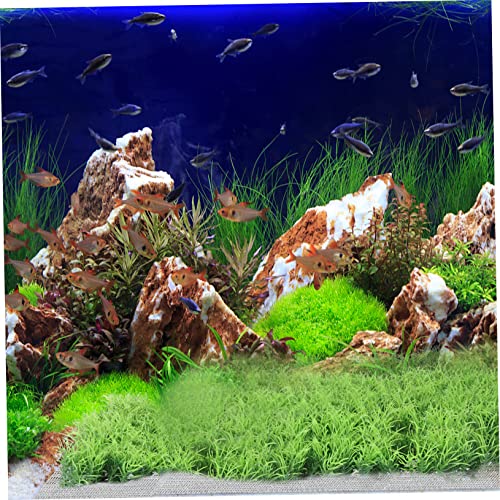 MERRYHAPY Stainless Steel Aquatic Plant Mesh Moss Carpet Net Netting Material for Fishtank Safe for Years