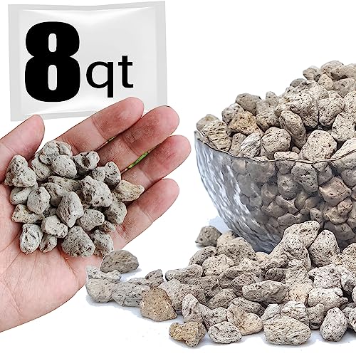 Horticultural Pumice for Plants Professional Sifted (8QT, 1/2 inch) - color: 8QT, size: 1/2 inch