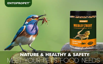 Dried Mealworms and Dried Crickets 3oz - Higher in Calcium and Richer in Protein-A Premium Medley Treat Food for Bearded Dragons,Turtle, Birds & Tropical Fish - size: 3 Ounce (Pack of 1)