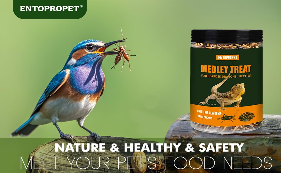 Dried Mealworms and Crickets - Higher in Calcium Bearded Dragon Food, 5 oz - size: 5 Ounce (Pack of 1)