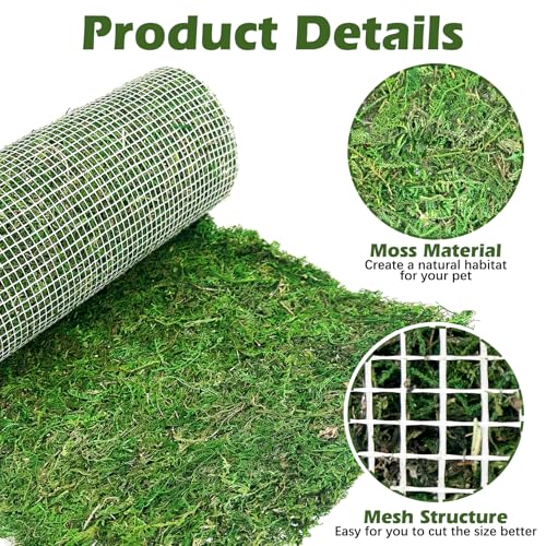 Reptile Carpet Cuttable Terrarium Mat Artificial Moss Reptile Liner Green Substrate Flooring Bearded Dragon Tank Accessories for Leopard Gecko Lizard Snake Tortoise (11.81" x 70.87") - size: 12" x 71"