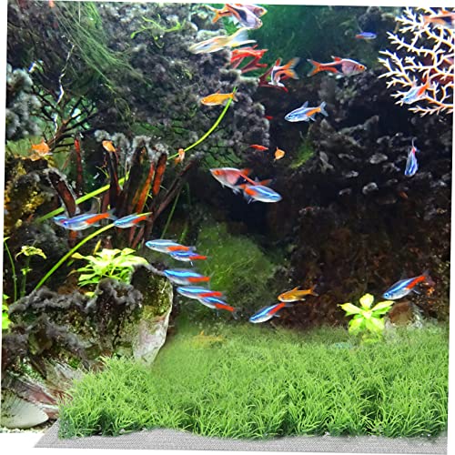 MERRYHAPY Stainless Steel Aquatic Plant Mesh Moss Carpet Net Netting Material for Fishtank Safe for Years