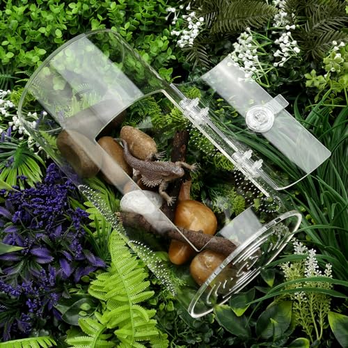Jumping Spider Enclosure, 11.5”*6”*6”, Air Hole 3/64" Micro Habitat Terrariums, Arboreal Reptile Tank with Front Opening Door,Tarantula Enclosure, Plant Greenhouse