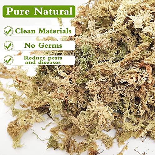 Legigo 3.5oz Premium Sphagnum Moss Potting Mix & 4QT Horticultural Charcoal for Plants- Plant Soil Amendment for Planting Gardening