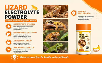 Lizard Electrolyte Powder – 2.82 oz (80 g) – Relieves Dehydration in Bearded Dragons and Geckos – Can be Administered orally or Added to Water (Banana Flavor)