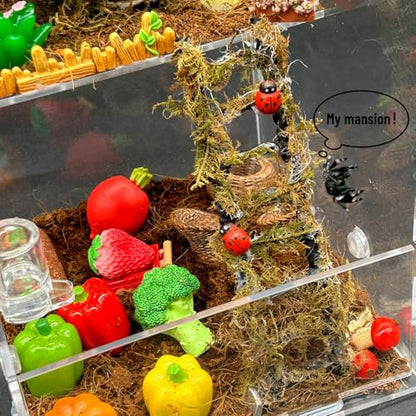 Jumping Spider Enclosure,DIY Insects Habitat,Small Reptile Terrarium Glass House Accessories Set,with Temperature and Humidity Detector Water Feeder Platform Hide,5.5“x5.5”x9.5“ (Farm) - color: Farm