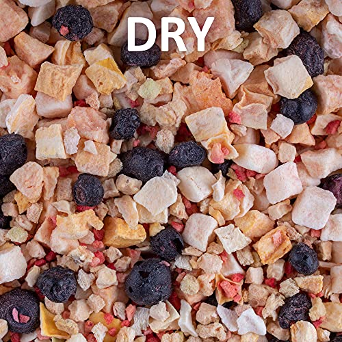 Healthy Herp Fruit Mix Instant Meal Reptile Food - Bearded Dragon Accessories & Bearded Dragon Food - Nutritious Blend for Bearded Dragons, Box Turtles, Tortoises, Hermit Crabs - 8.05 oz (230g) - size: 9.1 Ounce (Pack of 1), style: Jar