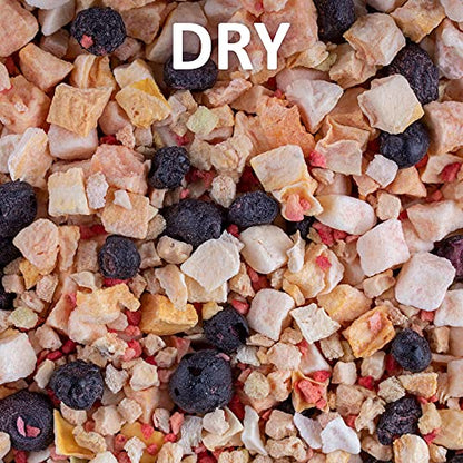 Healthy Herp Fruit Mix Instant Meal Reptile Food - Bearded Dragon Accessories & Bearded Dragon Food - Nutritious Blend for Bearded Dragons, Box Turtles, Tortoises, Hermit Crabs - 8.05 oz (230g) - size: 9.1 Ounce (Pack of 1), style: Jar