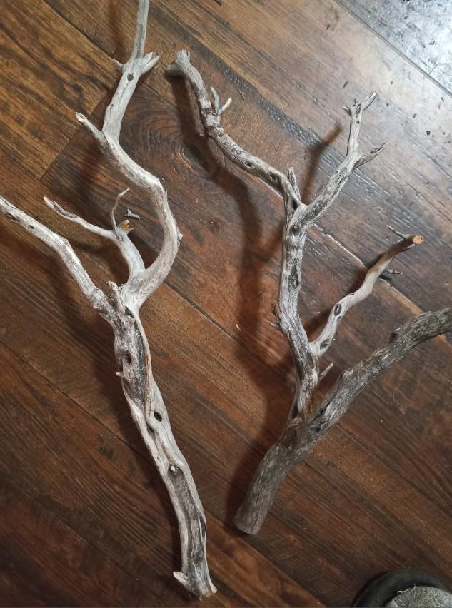 2 Pieces Natural Manzanita Ghostwood Branches - 18-20 Inches - Assorted Decorative Driftwood for Aquarium, Terrarium, and Home Decor