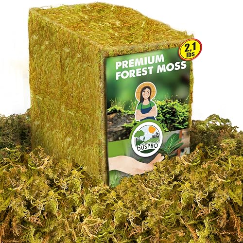 DUSPRO 2.1LBS Dried Moss for Potted Plants, Forest Orchid Moss for Potting Mix, Sphagnum Potting Moss for Plants Indoor, Real Moss Soil Cover for Houseplant - color: 2.1 LBS