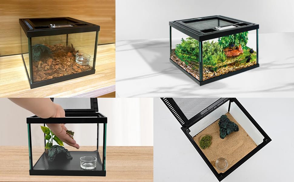 Mini Reptile Glass Tank 8 * 8 * 6inch Terrarium for Start with Top Ventilation for Turtle,Spider,Hermit Crab,Geock,Frog AMD Beard Dragon