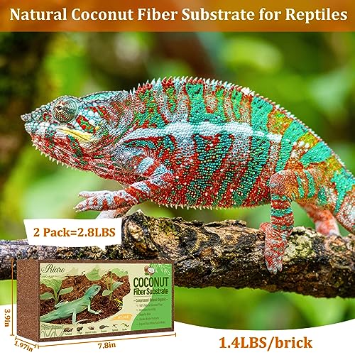 Riare 5.3 OZ Premium Sphagnum Moss for Reptiles 2 Pack Natural Compressed Coconut Fiber Substrate for Reptiles Terrarium Bedding for Tortoise, Frogs, Snakes Hermit Crabs, Burrowing Animals