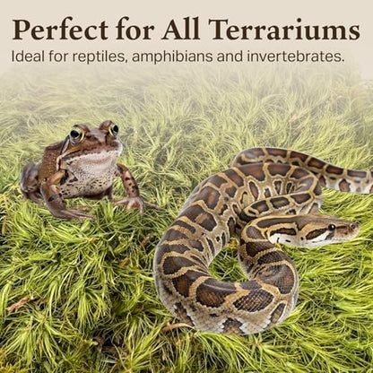 The Habitat Life - Natural Mood Moss - for Reptiles, Amphibians & Invertebrates Terrariums - Moisture-Retaining - Humidity Control - Soft Bedding - Dye-Free & Safe - Medium - 1 Pack - size: Medium, style: Mood Moss