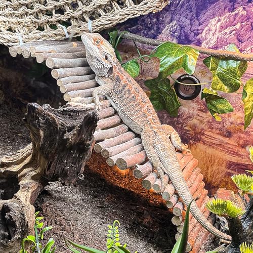 HERCOCCI Bearded Dragon Tank Accessories, 9Pcs Reptile Plants Vines Hammock Flexible Bridge with Suction Cups Terrarium Habitat Décor for Snake Gecko Lizard Chameleon
