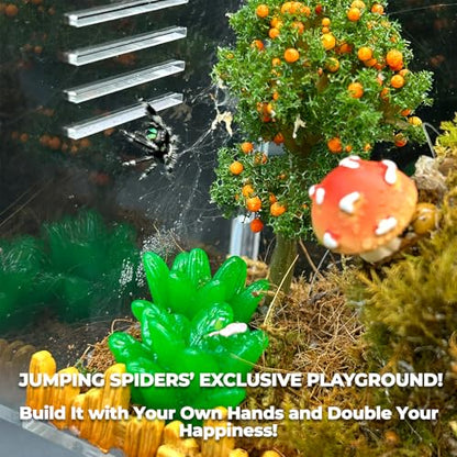 Jumping Spider Enclosure,DIY Insects Habitat,Small Reptile Terrarium Glass House Accessories Set,with Temperature and Humidity Detector Water Feeder Platform Hide,5.5“x5.5”x9.5“ (Farm) - color: Farm